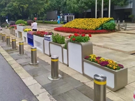 高低组合花箱